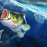 fishing clash android